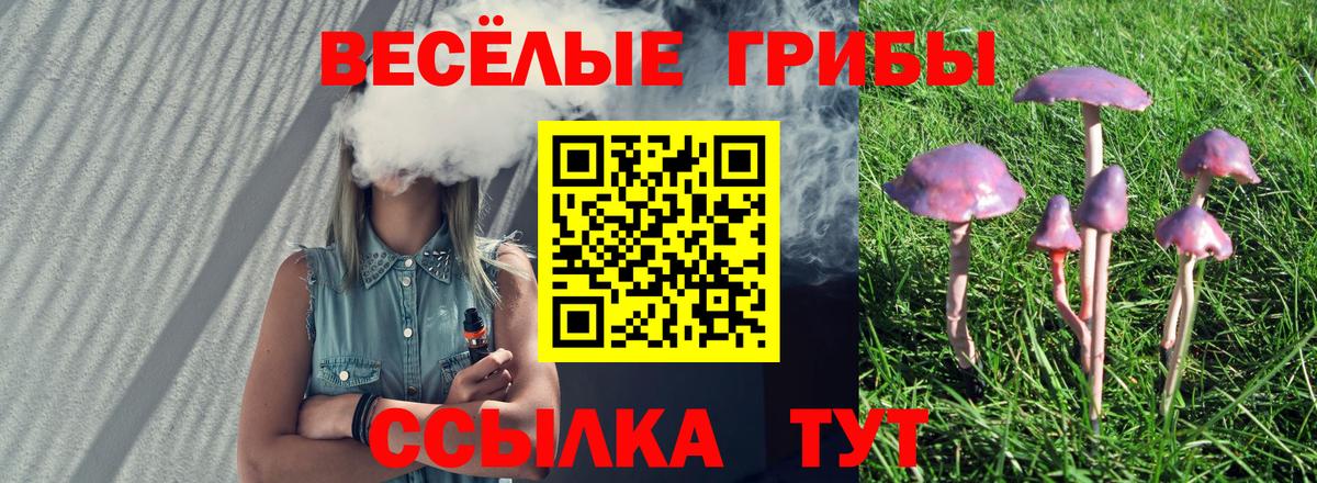 Находка  Псилоцибиновые грибы GOLDEN TEACHER  как найти   Вход с VPN 