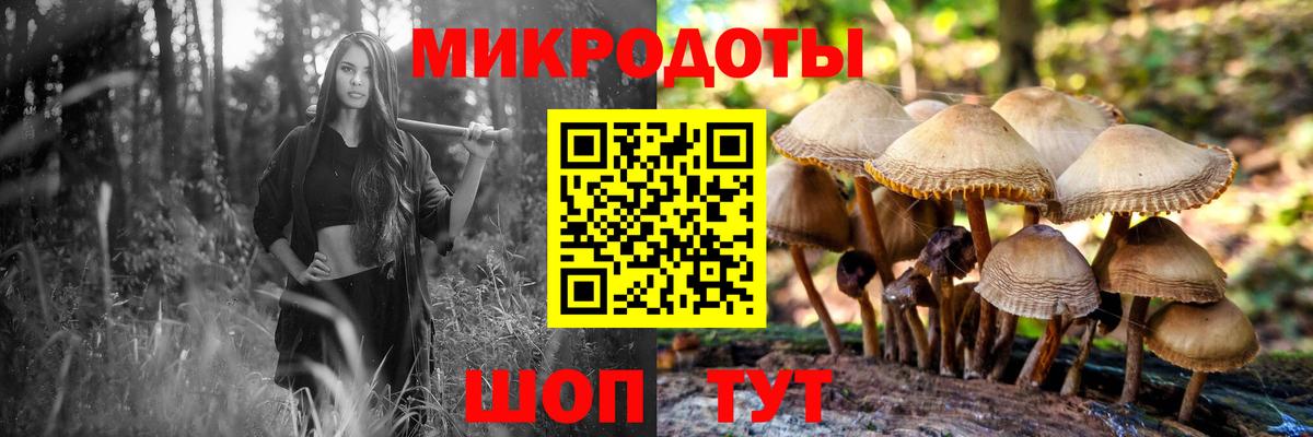 Псилоцибиновые грибы мухоморы Находка